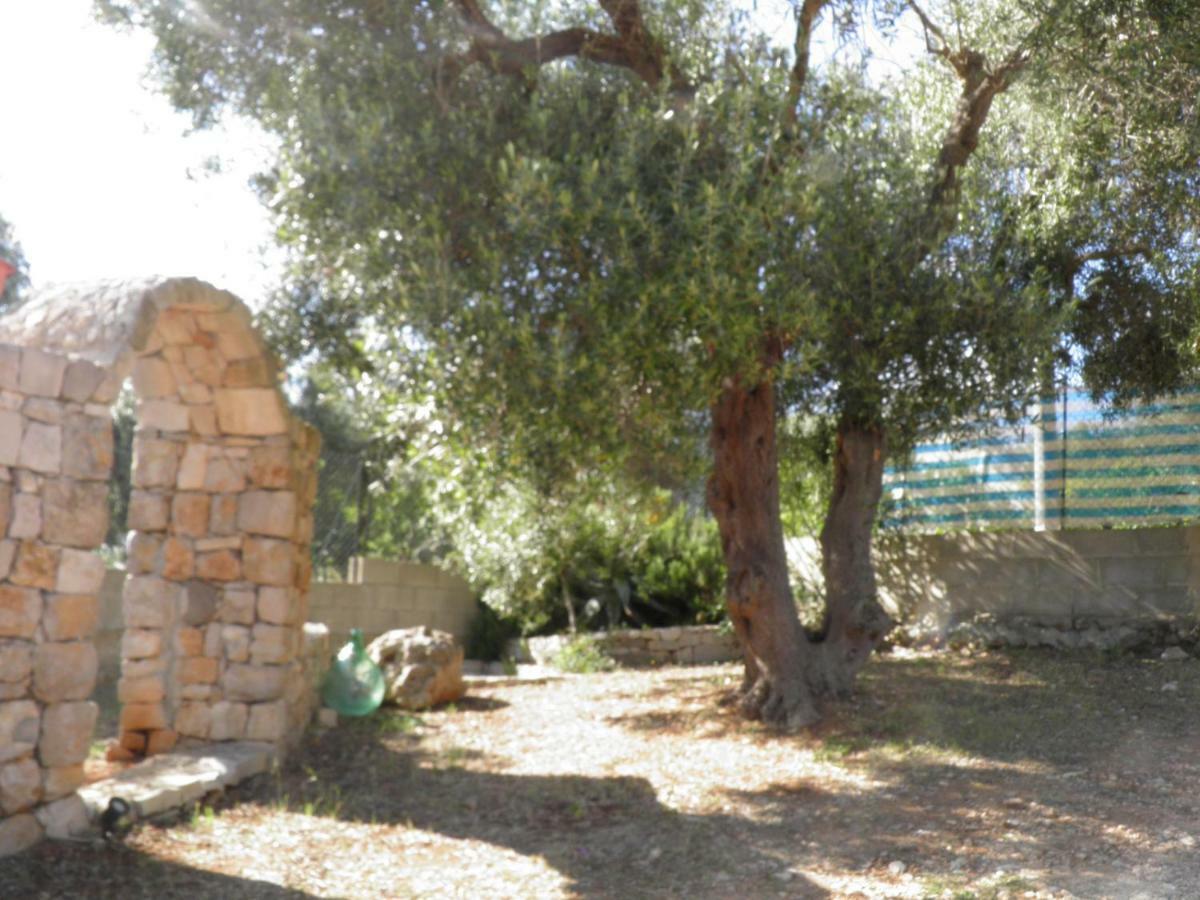 Villa Minteco Patu Exterior photo